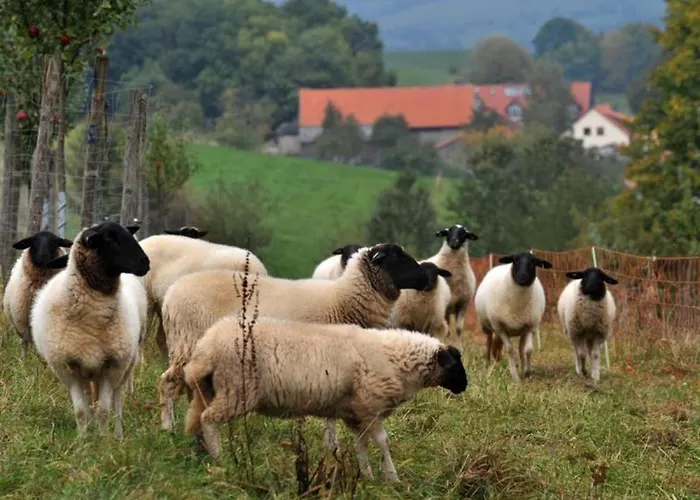 Weipert * Ehrenberg (Hessen)
